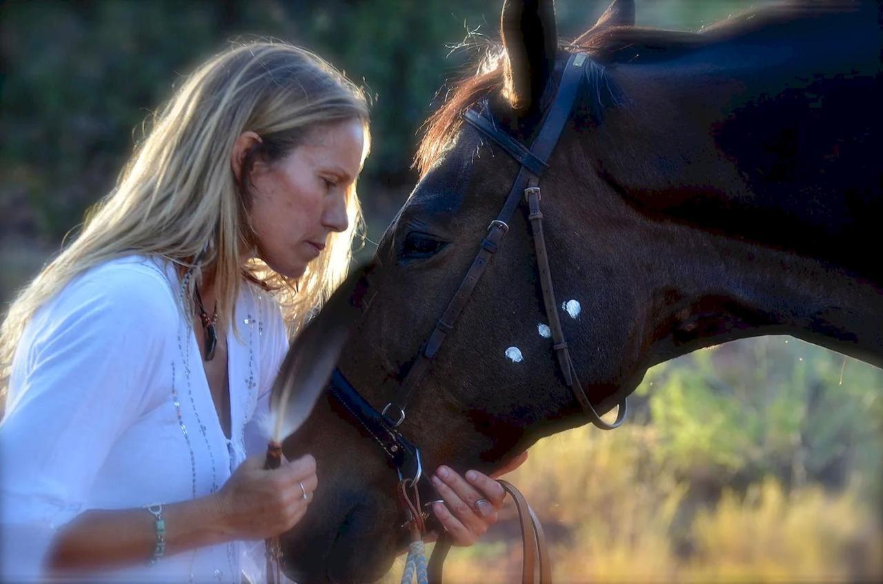 The Mountain Lion - Horses Sedona'S Most Loved Bagian luar foto