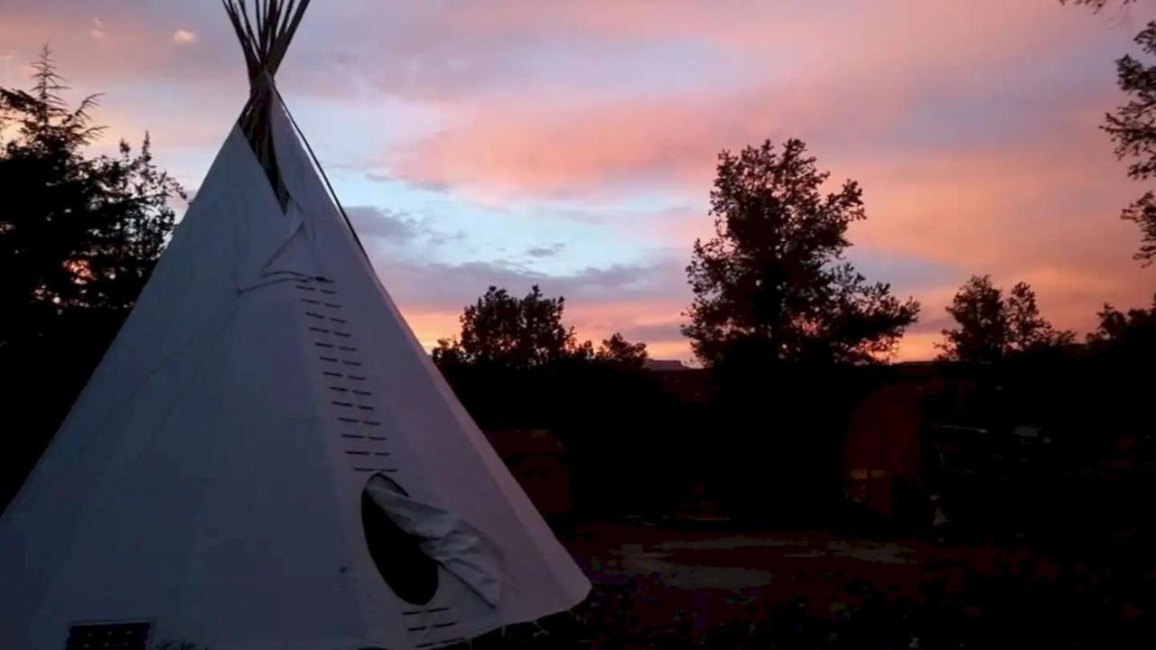 The Mountain Lion - Horses Sedona'S Most Loved Bagian luar foto