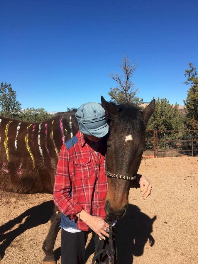 The Mountain Lion - Horses Sedona'S Most Loved Bagian luar foto